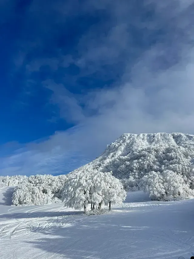 藏王溫泉滑雪場