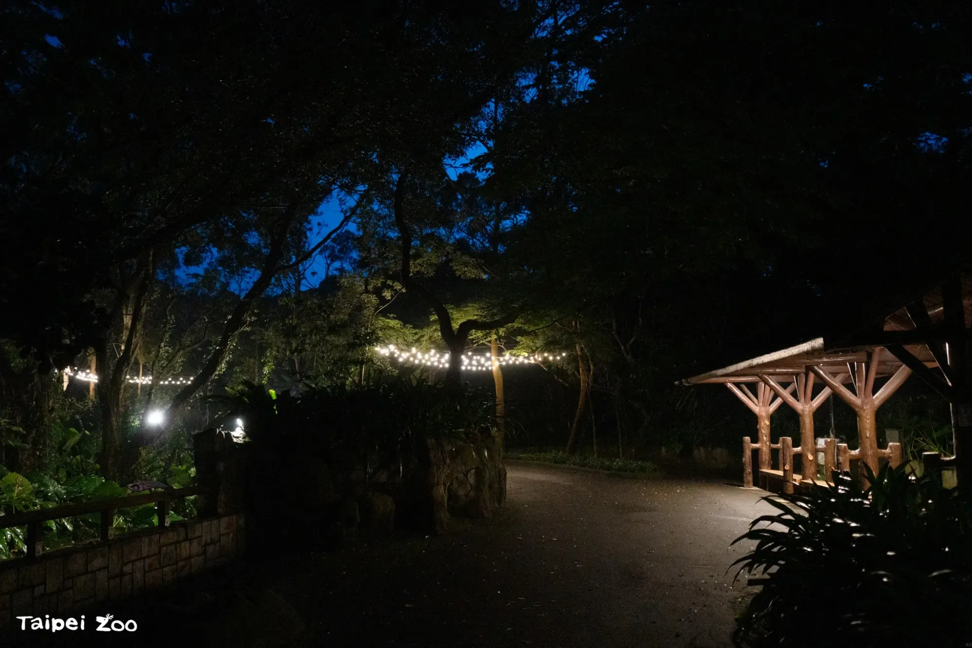 夜間開 Fun 活動介紹