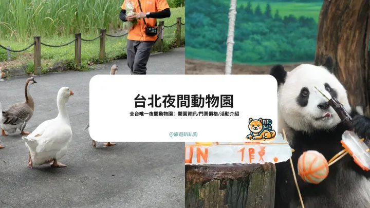 【台北夜間動物園】暑假限定，全台最夜間動物園開放中！木柵動物園夜間開放時段/門票/參觀重點一次看